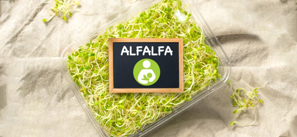 alfalfa complex