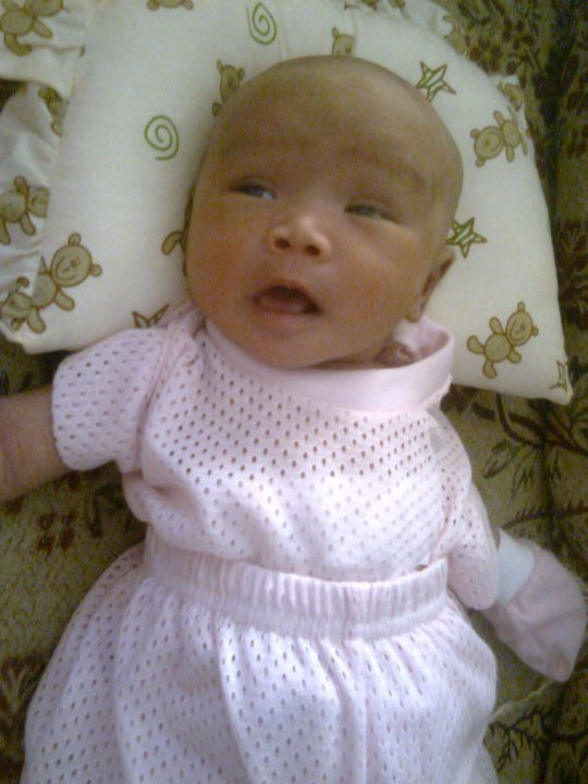 vitamin set menyusu shaklee